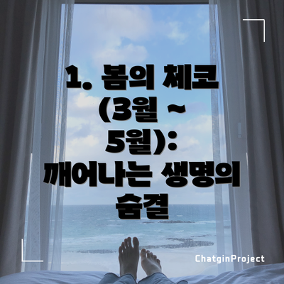 1. 봄의 체코 (3월 ~ 5월): 깨어나는 생명의 숨결