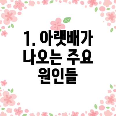 1. 아랫배가 나오는 주요 원인들