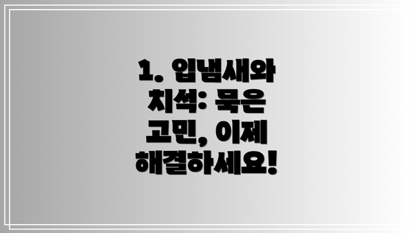 1. 입냄새와 치석: 묵은 고민, 이제 해결하세요!