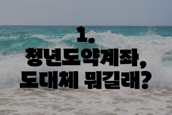 1. 청년도약계좌, 도대체 뭐길래?