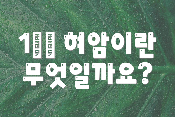 1️⃣ 혀암이란 무엇일까요?