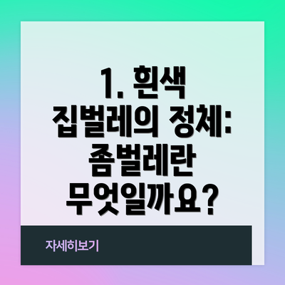 1. 흰색 집벌레의 정체: 좀벌레란 무엇일까요?