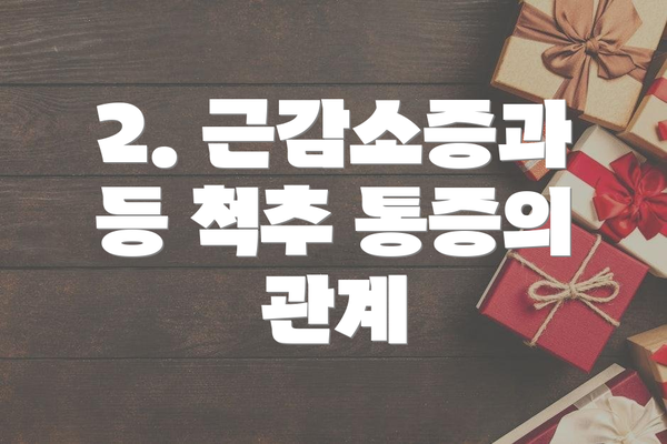 2. 근감소증과 등 척추 통증의 관계