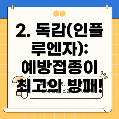 2. 독감(인플루엔자): 예방접종이 최고의 방패!