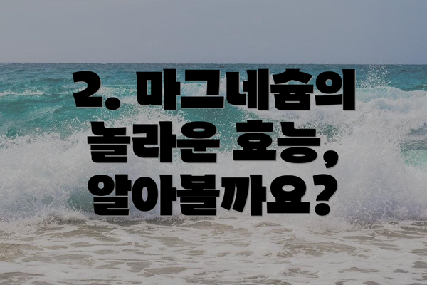 2. 마그네슘의 놀라운 효능, 알아볼까요?