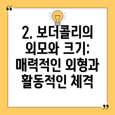 2. 보더콜리의 외모와 크기: 매력적인 외형과 활동적인 체격