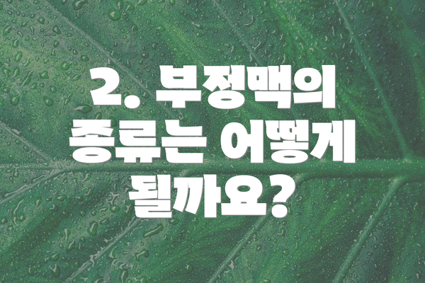 2. 부정맥의 종류는 어떻게 될까요?