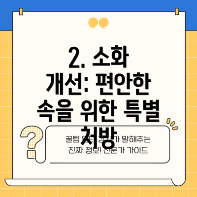 2. 소화 개선: 편안한 속을 위한 특별 처방