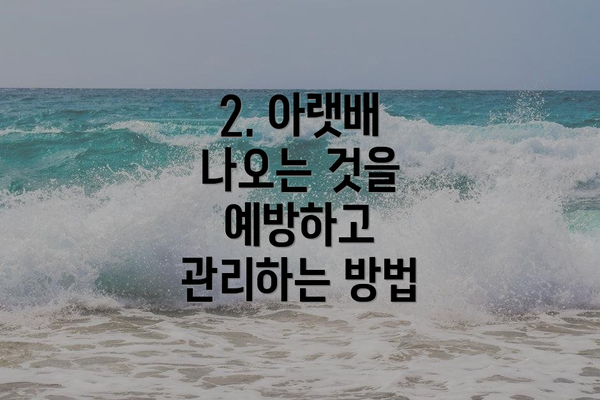 2. 아랫배 나오는 것을 예방하고 관리하는 방법
