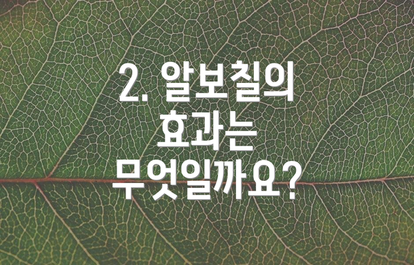 2. 알보칠의 효과는 무엇일까요?
