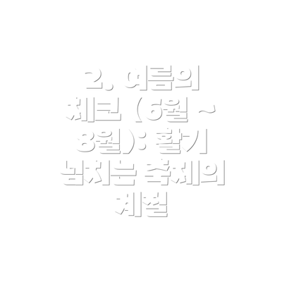 2. 여름의 체코 (6월 ~ 8월): 활기 넘치는 축제의 계절