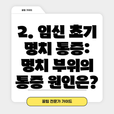 2. 임신 초기 명치 통증: 명치 부위의 통증 원인은?