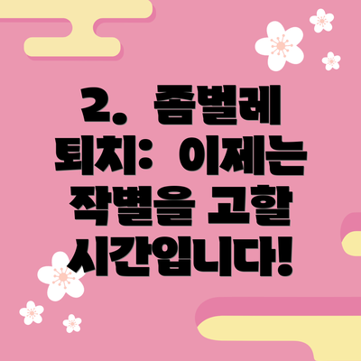 2.  좀벌레 퇴치:  이제는 작별을 고할 시간입니다!