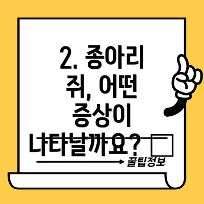 2. 종아리 쥐, 어떤 증상이 나타날까요? 😫