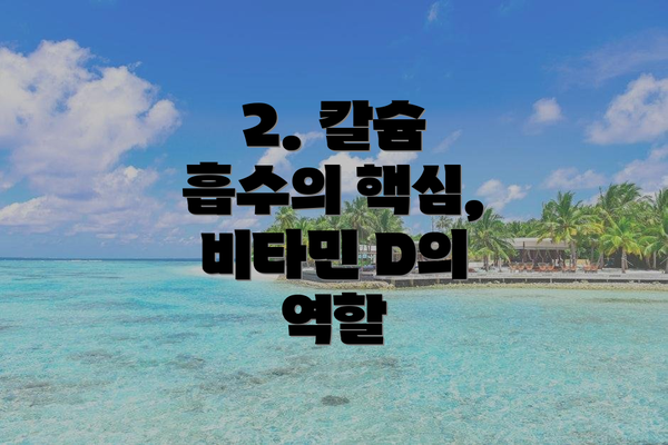 2. 칼슘 흡수의 핵심, 비타민 D의 역할