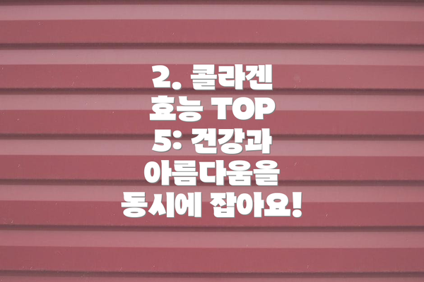 2. 콜라겐 효능 TOP 5: 건강과 아름다움을 동시에 잡아요!