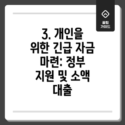 3. 개인을 위한 긴급 자금 마련: 정부 지원 및 소액 대출