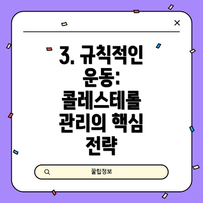 3. 규칙적인 운동: 콜레스테롤 관리의 핵심 전략