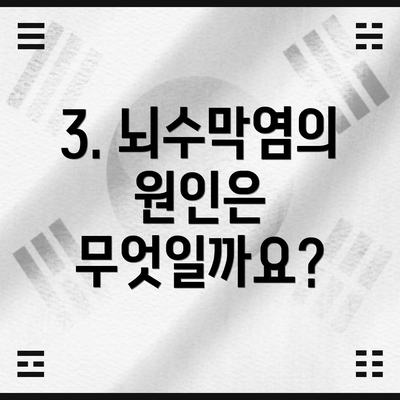 3. 뇌수막염의 원인은 무엇일까요?