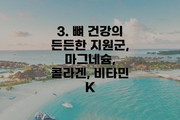 3. 뼈 건강의 든든한 지원군, 마그네슘, 콜라겐, 비타민 K