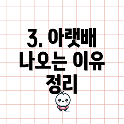 3. 아랫배 나오는 이유 정리