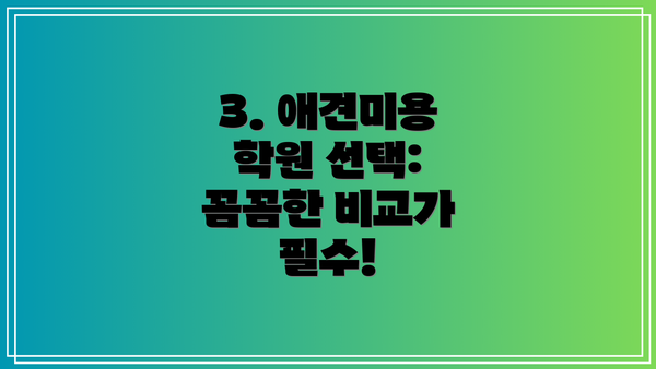 3. 애견미용 학원 선택: 꼼꼼한 비교가 필수!
