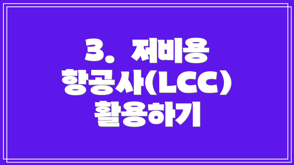 3.  저비용 항공사(LCC) 활용하기