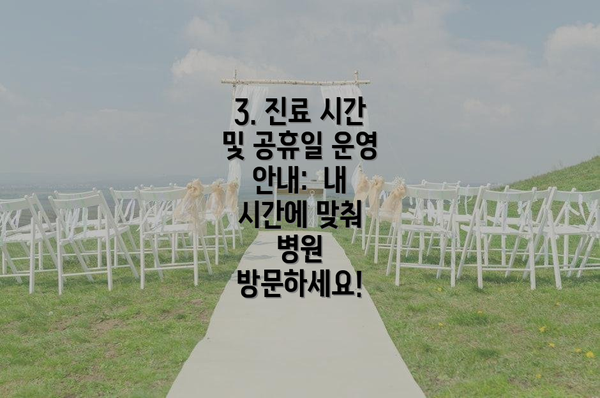 3. 진료 시간 및 공휴일 운영 안내:  내 시간에 맞춰 병원 방문하세요!