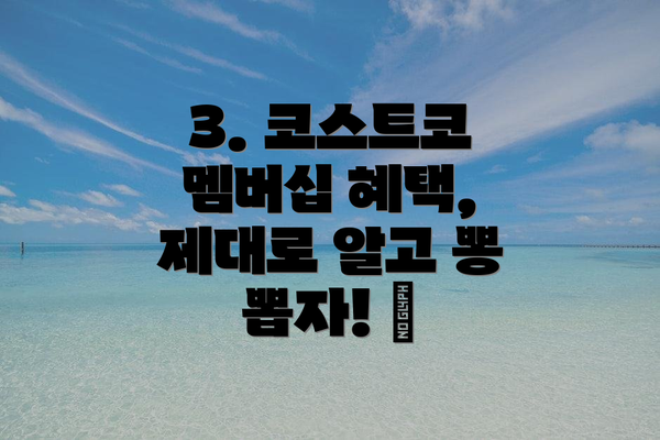 3. 코스트코 멤버십 혜택, 제대로 알고 뽕 뽑자! 🎉
