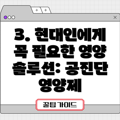 3. 현대인에게 꼭 필요한 영양 솔루션: 공진단 영양제