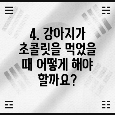 4. 강아지가 초콜릿을 먹었을 때 어떻게 해야 할까요?