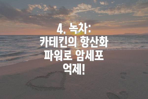 4. 녹차: 카테킨의 항산화 파워로 암세포 억제!