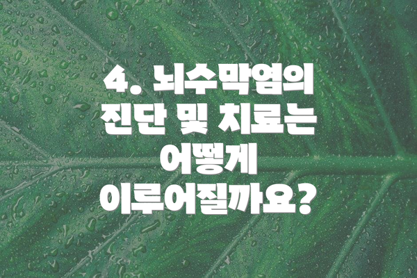 4. 뇌수막염의 진단 및 치료는 어떻게 이루어질까요?
