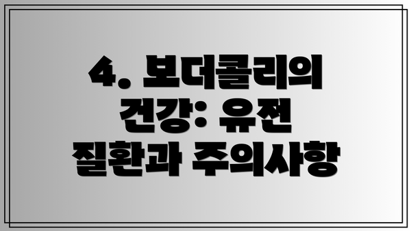 4. 보더콜리의 건강: 유전 질환과 주의사항