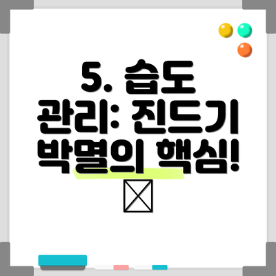 5. 습도 관리: 진드기 박멸의 핵심! 💧