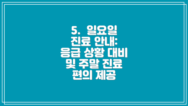 5.  일요일 진료 안내:  응급 상황 대비 및 주말 진료 편의 제공