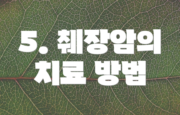 5. 췌장암의 치료 방법