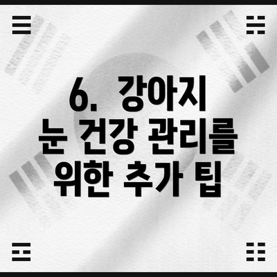 6.  강아지 눈 건강 관리를 위한 추가 팁