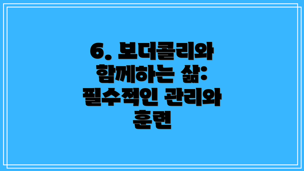 6. 보더콜리와 함께하는 삶:  필수적인 관리와 훈련