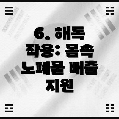 6. 해독 작용: 몸속 노폐물 배출 지원