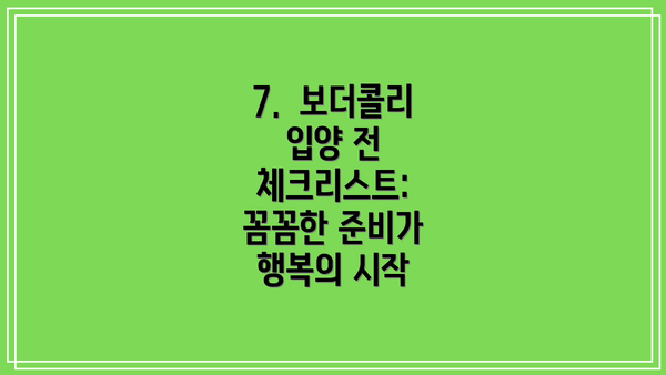 7.  보더콜리 입양 전 체크리스트: 꼼꼼한 준비가 행복의 시작