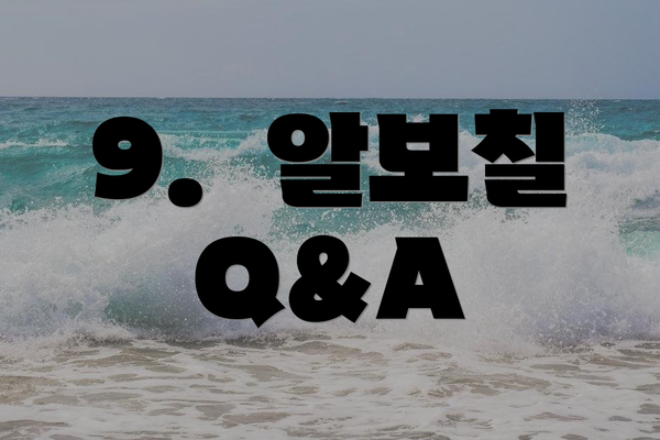 9.  알보칠 Q&A