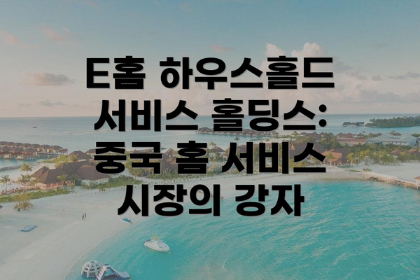 E홈 하우스홀드 서비스 홀딩스: 중국 홈 서비스 시장의 강자
