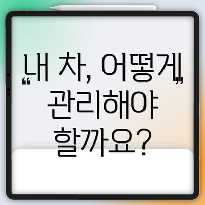 내 차, 어떻게 관리해야 할까요?