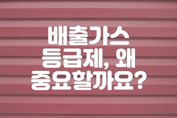 배출가스 등급제, 왜 중요할까요?