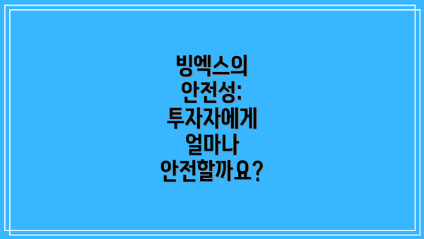 빙엑스의 안전성: 투자자에게 얼마나 안전할까요?