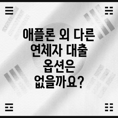 애플론 외 다른 연체자 대출 옵션은 없을까요?