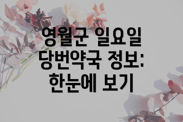 영월군 일요일 당번약국 정보: 한눈에 보기