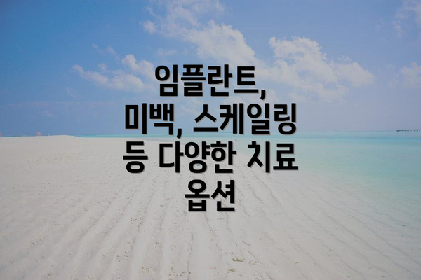 임플란트, 미백, 스케일링 등 다양한 치료 옵션