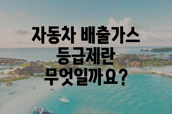 자동차 배출가스 등급제란 무엇일까요?
